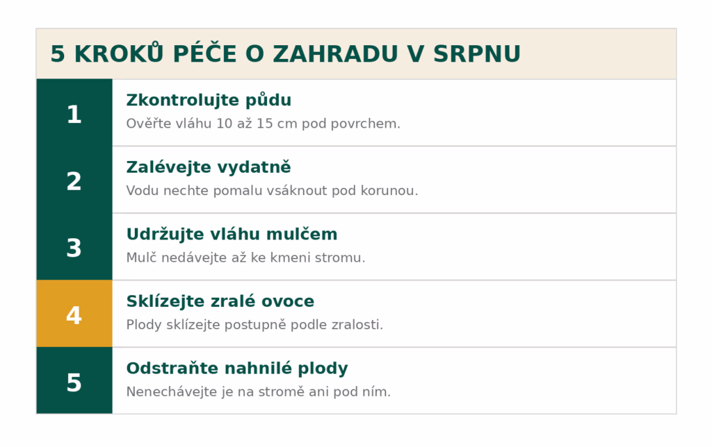 Infografika: 5 kroků péče o zahradu v srpnu